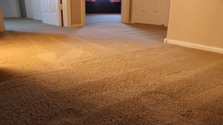 Carpet Repair and Stretching: How Does Carpet Stretching Work?